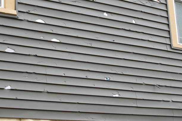 Best Vinyl Siding Installation  in Heathrow, FL